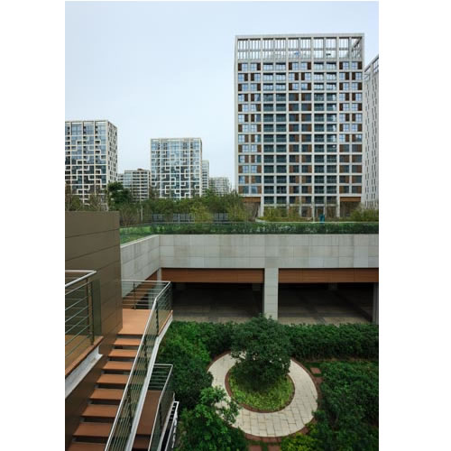 �Ϻ�����D�؉K ������Ԣ