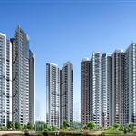 ��h�|��������