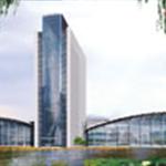 �F�X������B