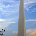 �Ž�������