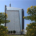 ���ޏV�����