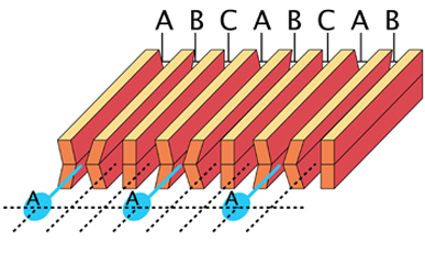 第一步,通過(guò)A組通道噴射墨水,形成部分圖像。